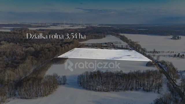 Działka rolna Mierzyno. Zdjęcie 2