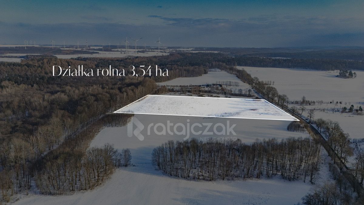 Działka rolna Mierzyno. Zdjęcie 2