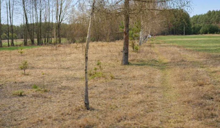 Działka rekreacyjna Szarłat