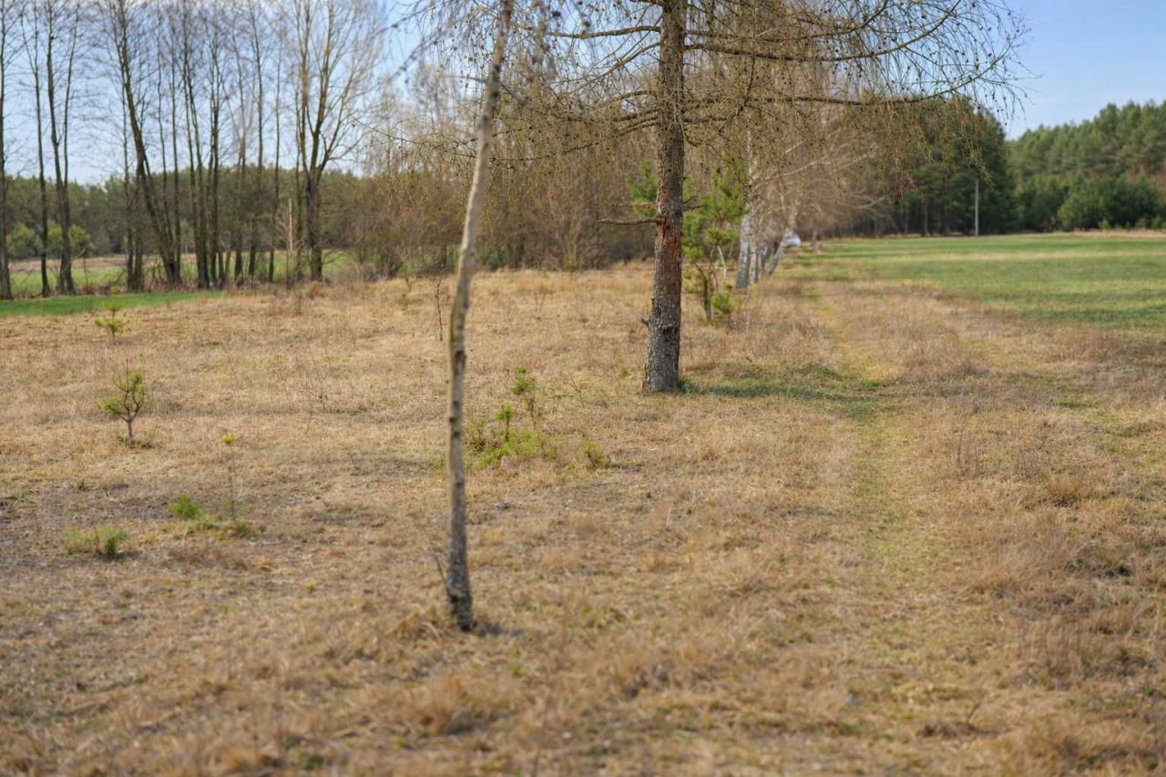 Działka rekreacyjna Szarłat. Zdjęcie 1