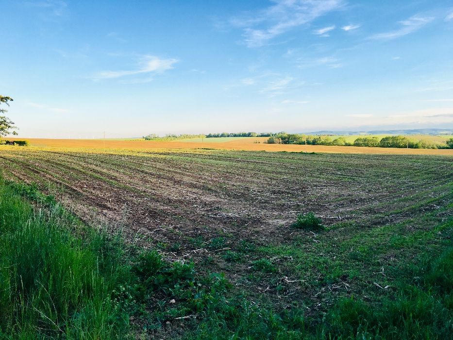 Działka budowlana Sławoszów. Zdjęcie 3