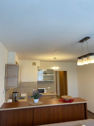 Mieszkanie 1-pokojowe Wrocław Stare Miasto, ul. Sokolnicza. Zdjęcie 2