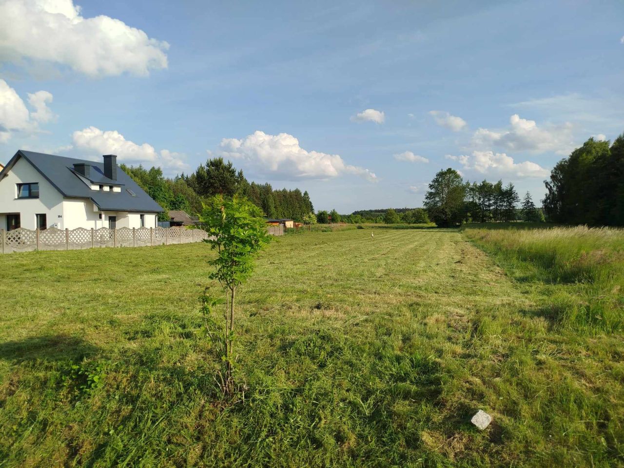 Działka inna Załuże. Zdjęcie 5