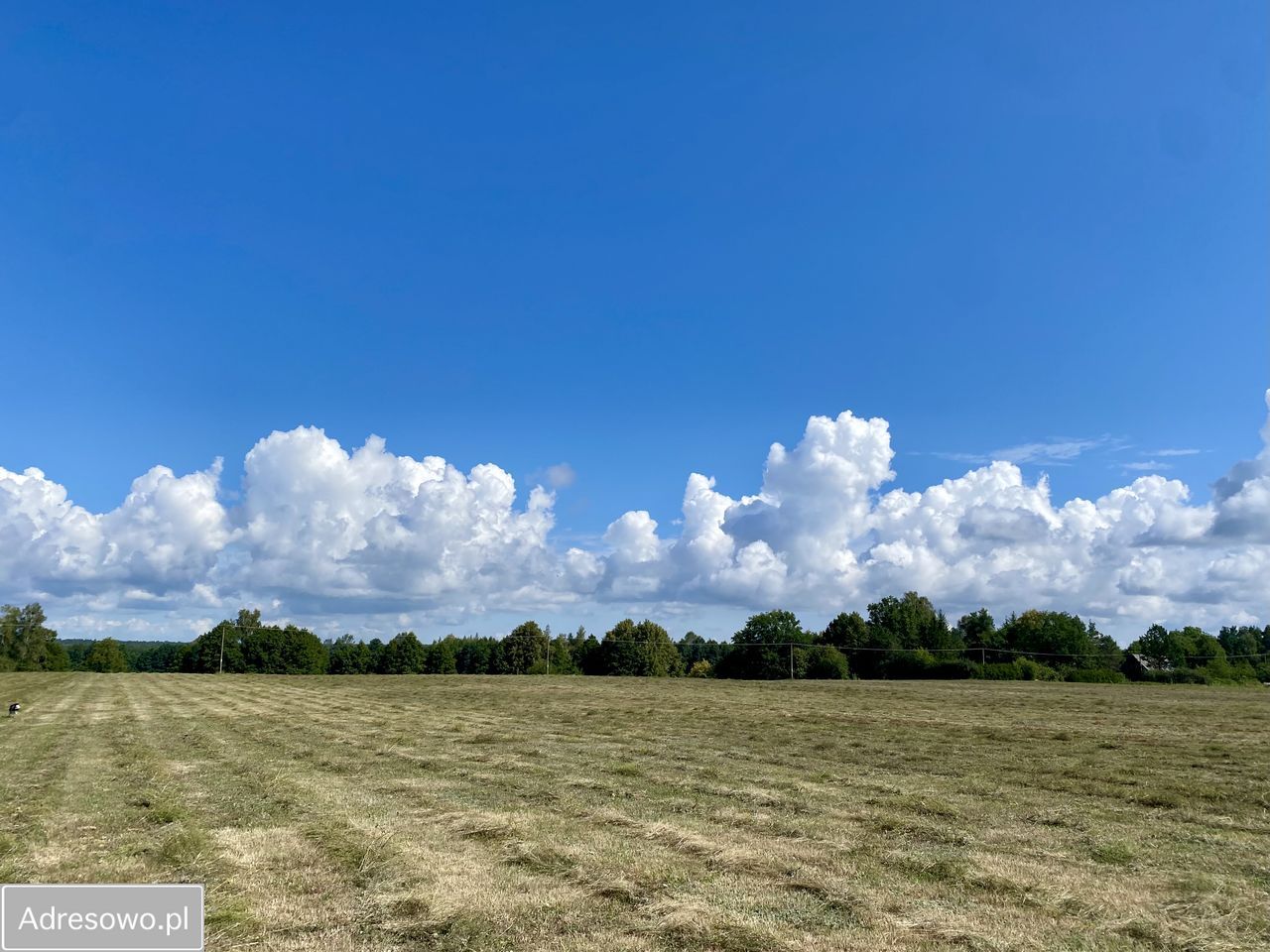 Działka rolna Krusznik