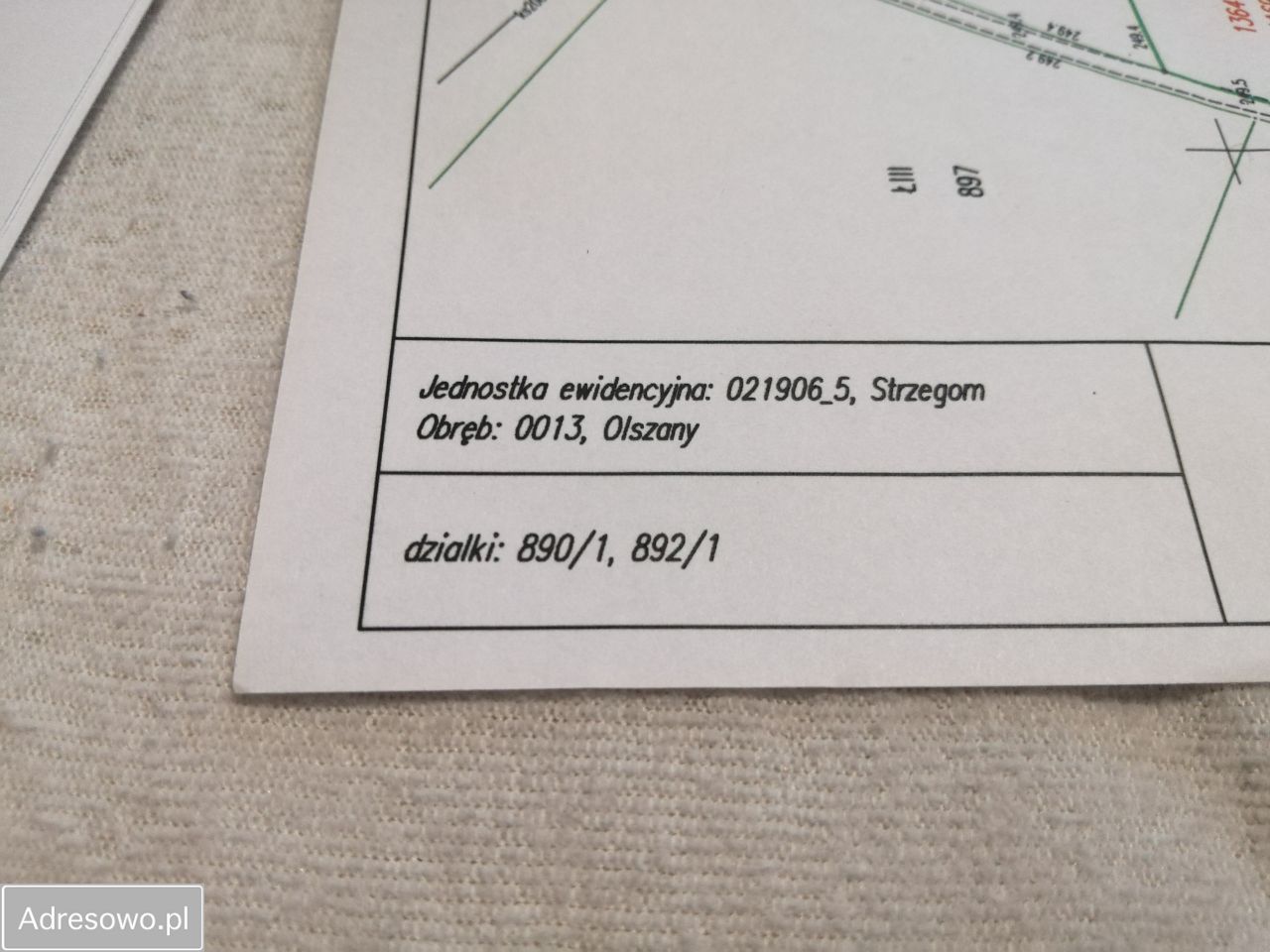 Działka budowlana Olszany. Zdjęcie 4