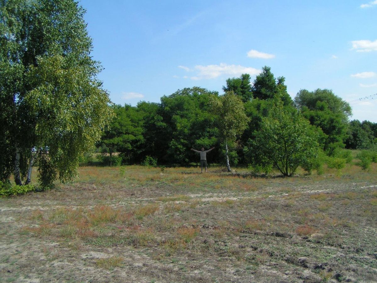 Działka budowlana Bujniczki-Kolonia Kopanina. Zdjęcie 4