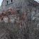 dom wolnostojący Gniewomirowice. Zdjęcie 6