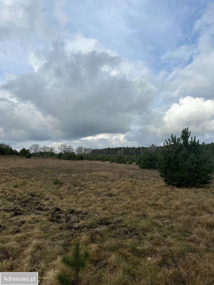 Działka rolna Baranówko. Zdjęcie 2