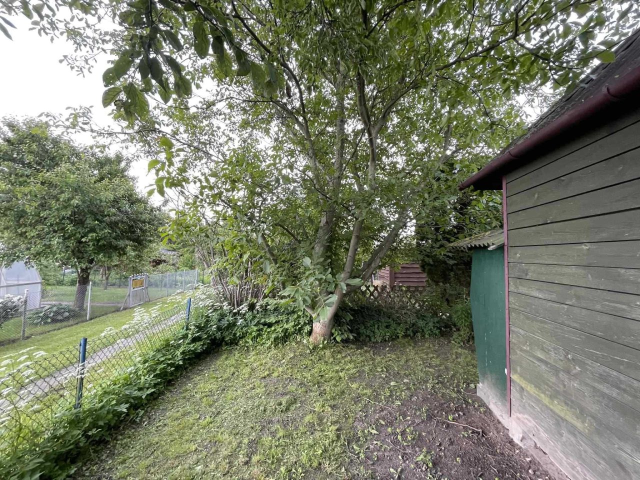 Działka rod Płock, ul. Targowa. Zdjęcie 6