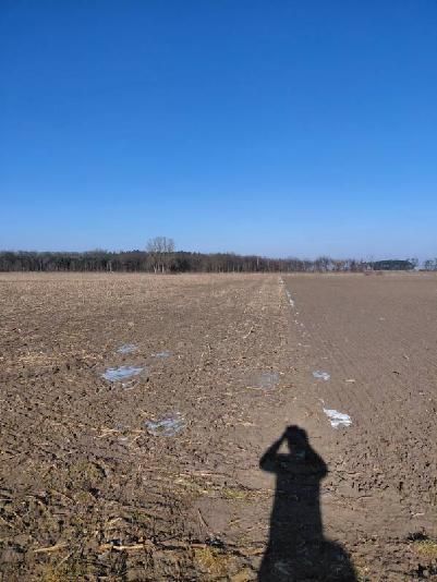 Działka rolna Ulejno. Zdjęcie 4