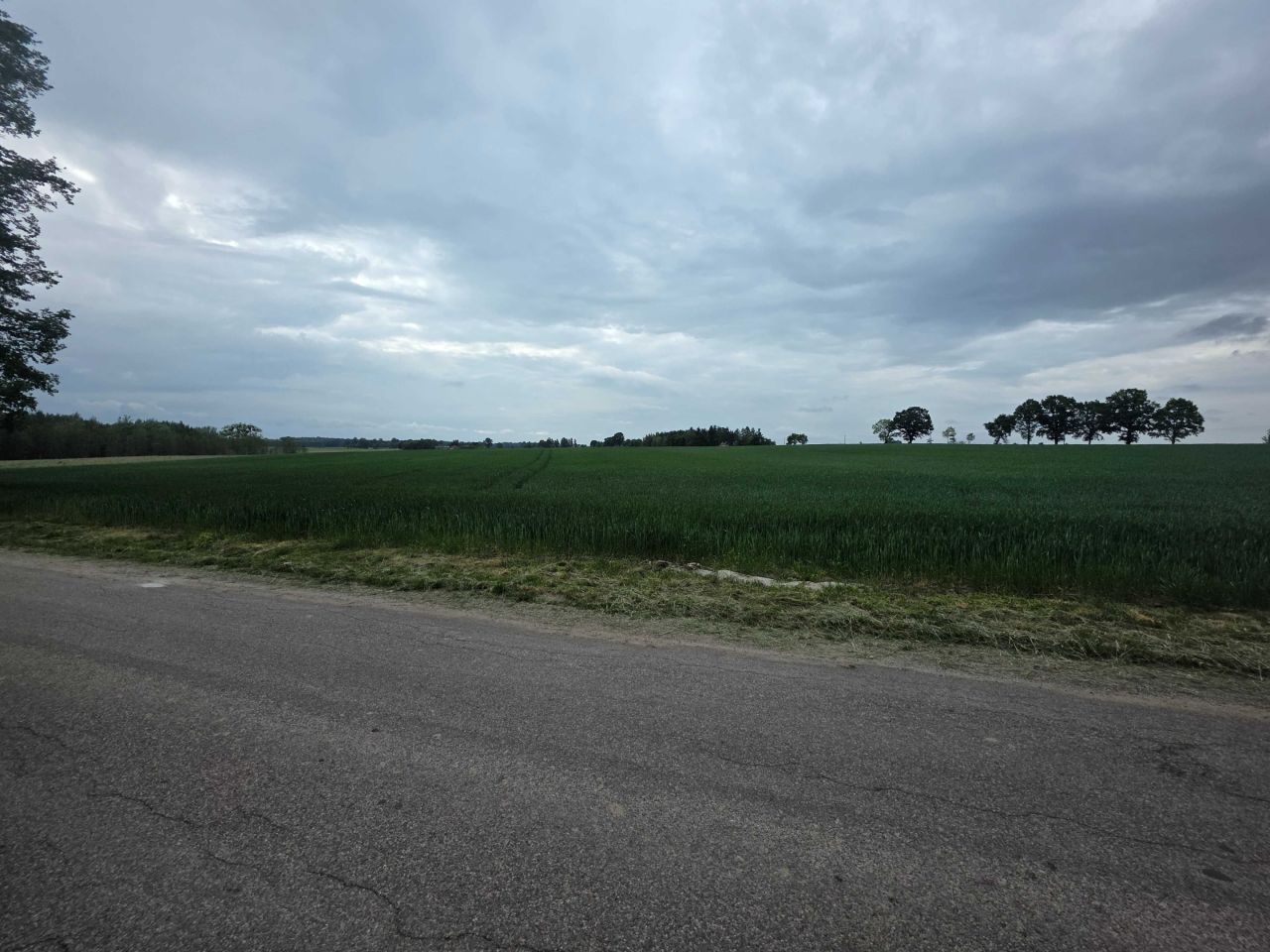 Działka rolno-budowlana Grabowiec. Zdjęcie 5