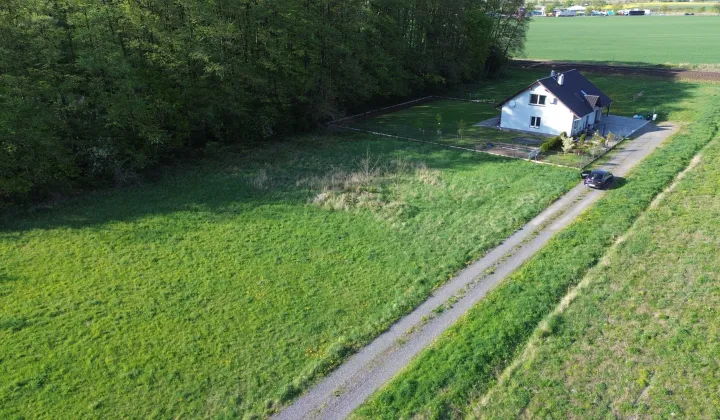 Działka budowlana Dąbrowa, ul. Dębowa