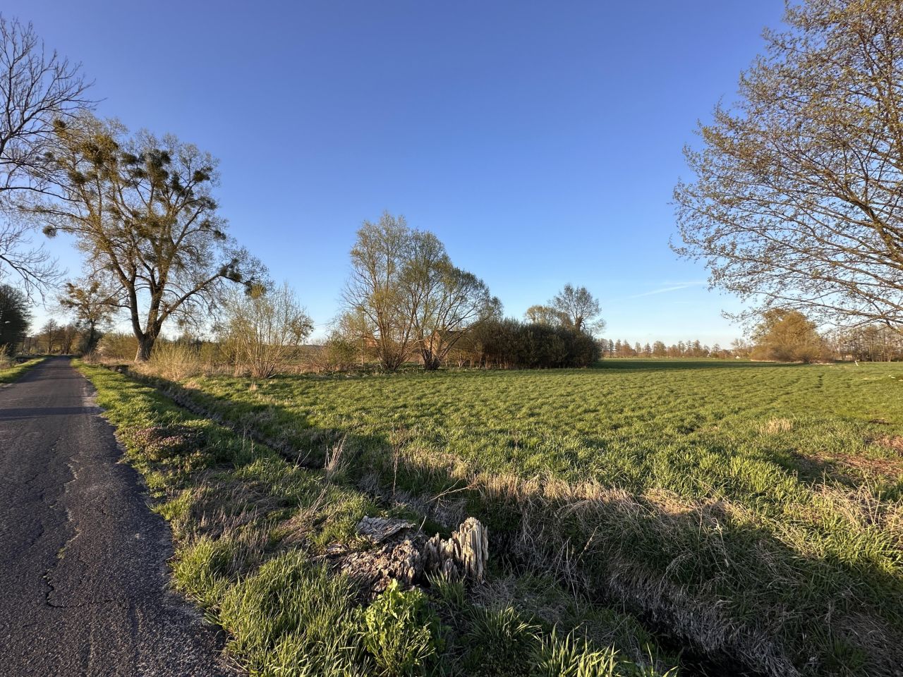 Działka budowlana Łącznica. Zdjęcie 7