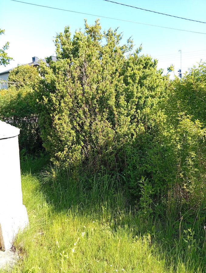 dom wolnostojący, 3 pokoje Ciągowice, ul. Zwycięstwa. Zdjęcie 13
