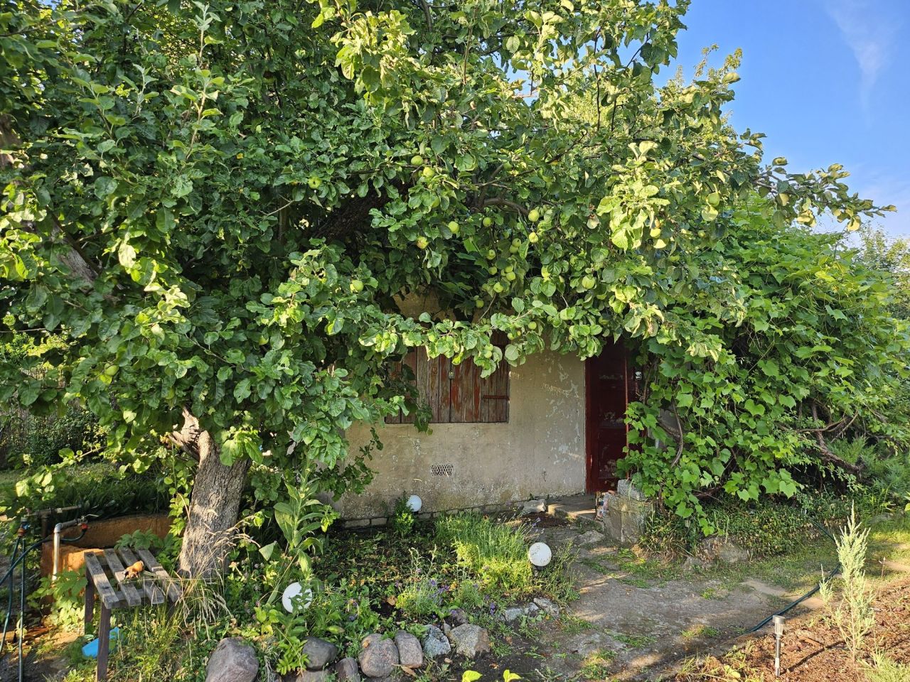 Działka rod Wałcz Centrum, ul. Ciasna. Zdjęcie 2