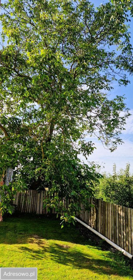 dom wolnostojący, 4 pokoje Bogoria Skotnicka. Zdjęcie 12