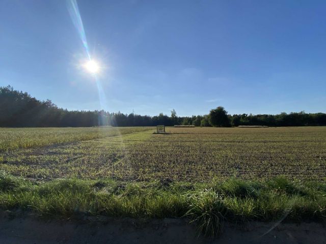 Działka rolna Rosanów, ul. Napoleona. Zdjęcie 1