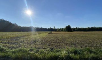 Działka rolna Rosanów, ul. Napoleona