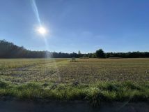 Działka rolna Rosanów, ul. Napoleona