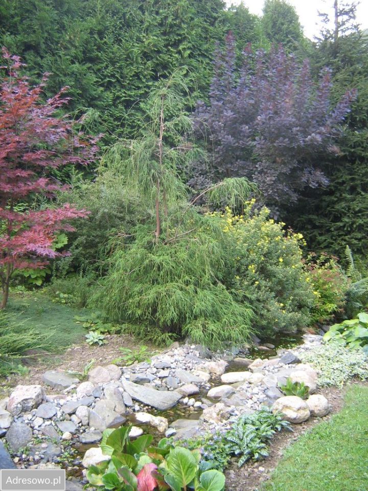 dom wolnostojący, 15 pokoi Pokrzywna. Zdjęcie 9