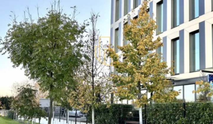 Nieruchomość komercyjna Wrocław Jagodno, ul. Buforowa