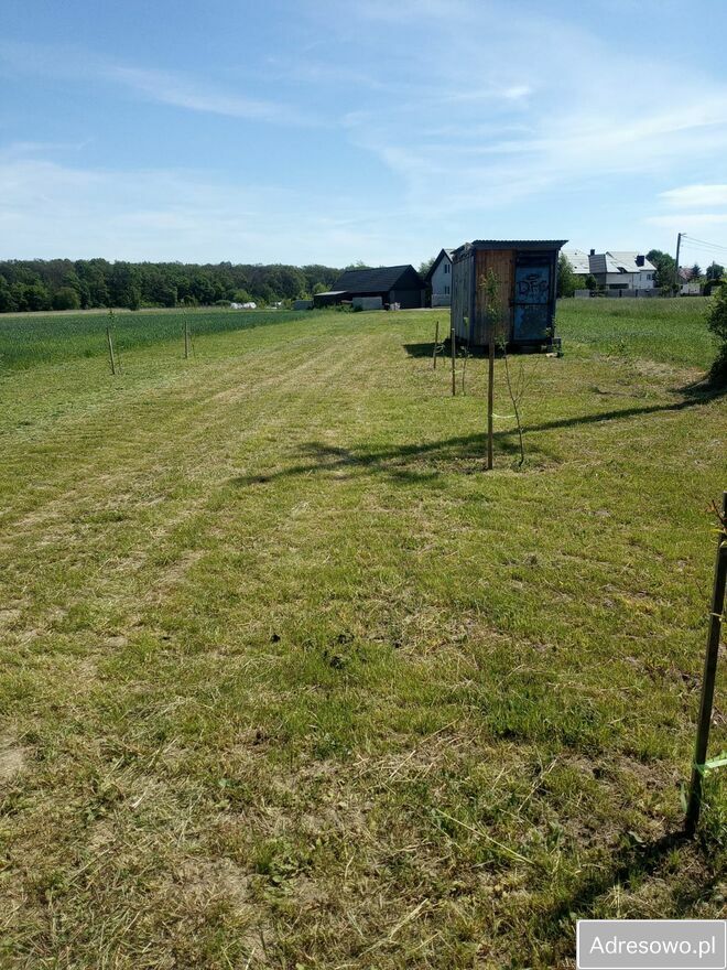 dom wolnostojący, 2 pokoje Ispnia. Zdjęcie 6