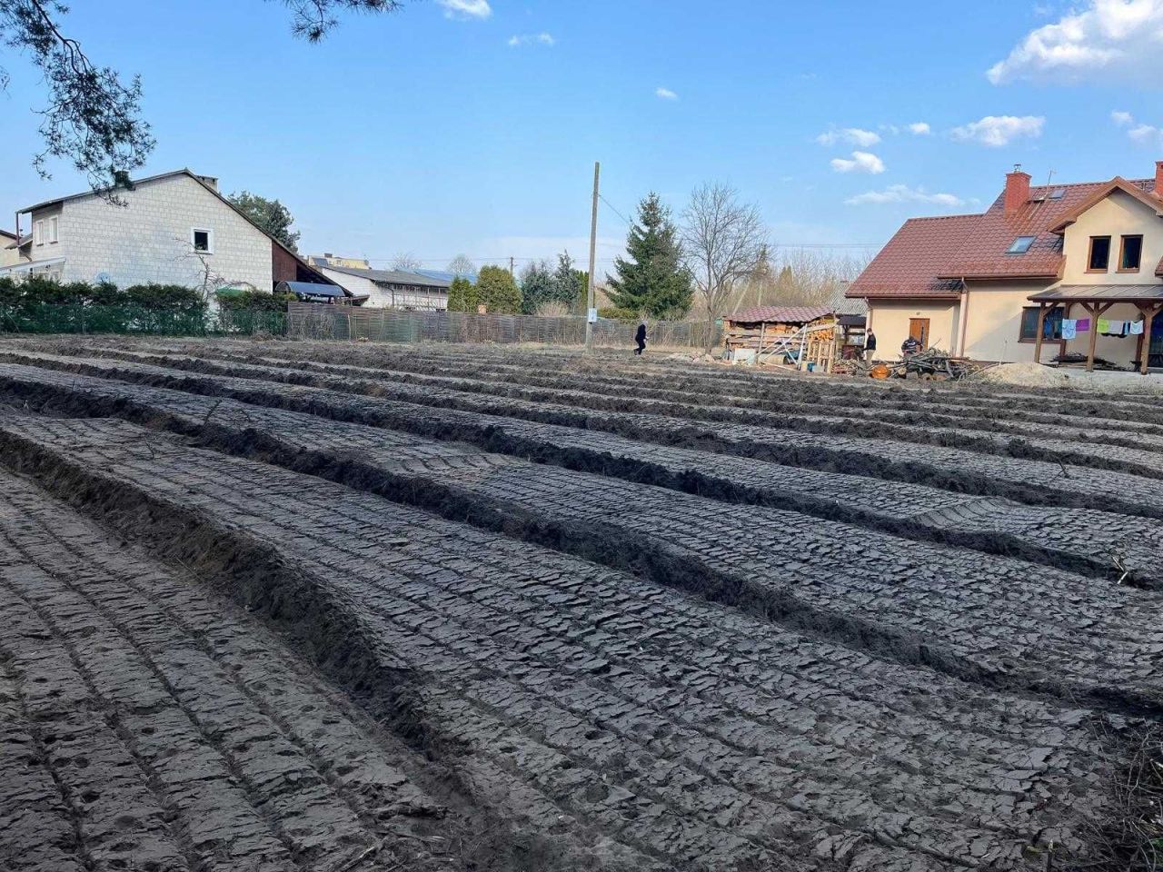 Działka budowlana Stare Bosewo. Zdjęcie 6