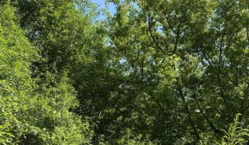 Działka budowlana Milanówek Turczynek