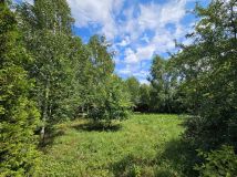 Działka rekreacyjna Urowo Murawki. Zdjęcie 3