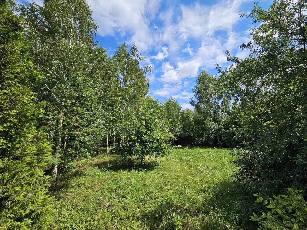 Działka rekreacyjna Urowo Murawki. Zdjęcie 4