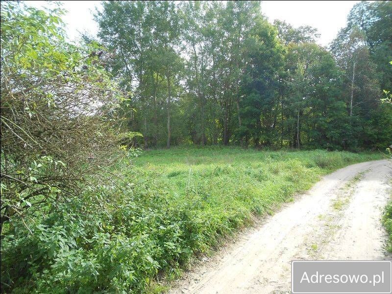 Działka siedliskowa Skolity. Zdjęcie 6
