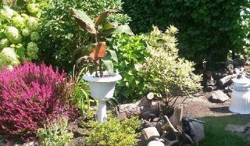 Działka rod Warszawa Targówek, ul. Janowiecka