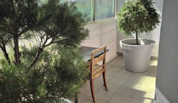 Mieszkanie 2-pokojowe Poznań Grunwald, ul. Promienista