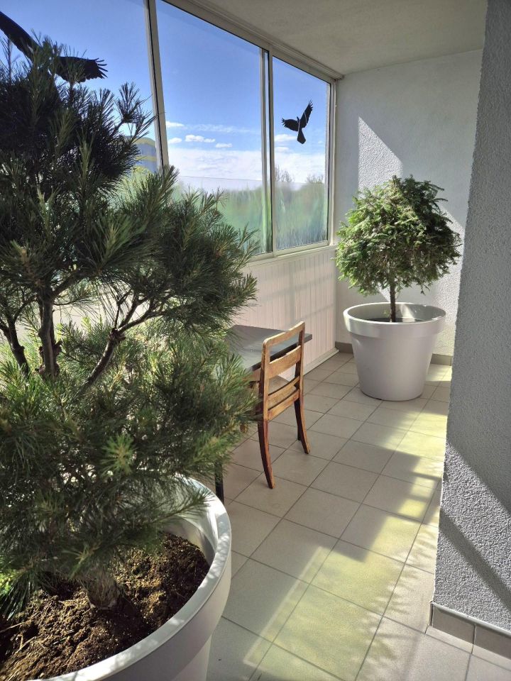 Mieszkanie 2-pokojowe Poznań Grunwald, ul. Promienista