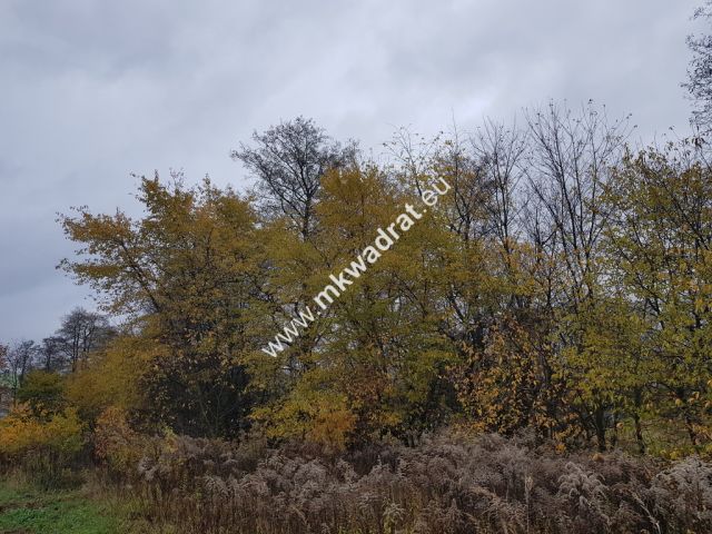 Działka budowlana Milanówek. Zdjęcie 4