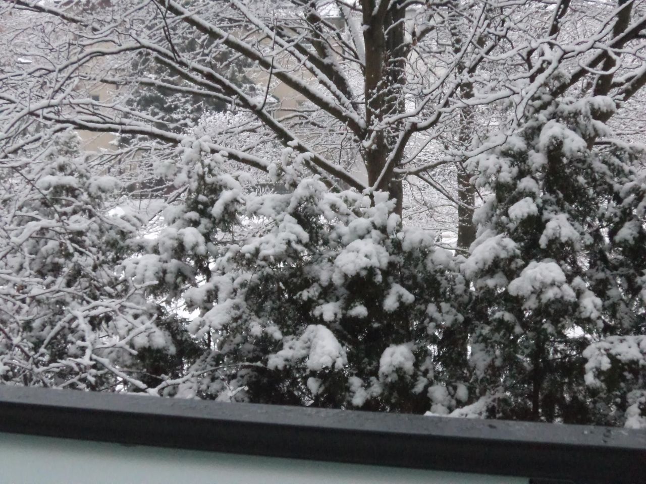 Mieszkanie 4-pokojowe Warszawa Wilanów, ul. Królowej Marysieńki. Zdjęcie 6