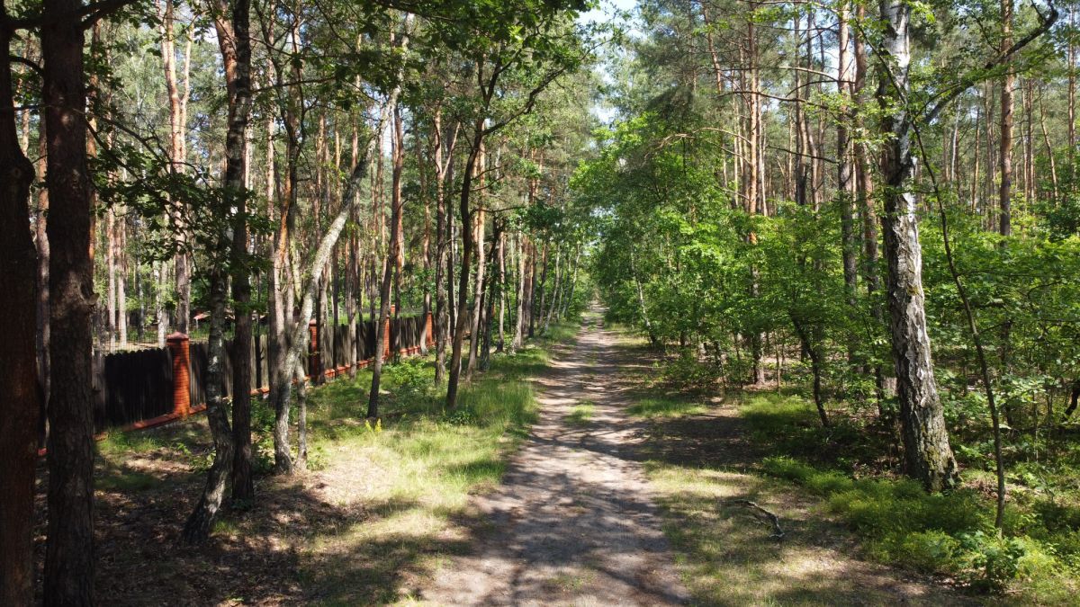 Działka leśna Warszawa Wesoła, ul. Wawerska. Zdjęcie 13