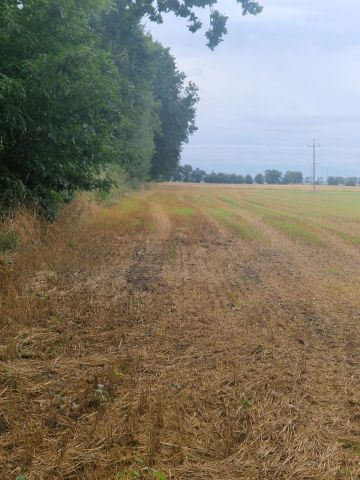 Działka rolna Zagórce. Zdjęcie 1