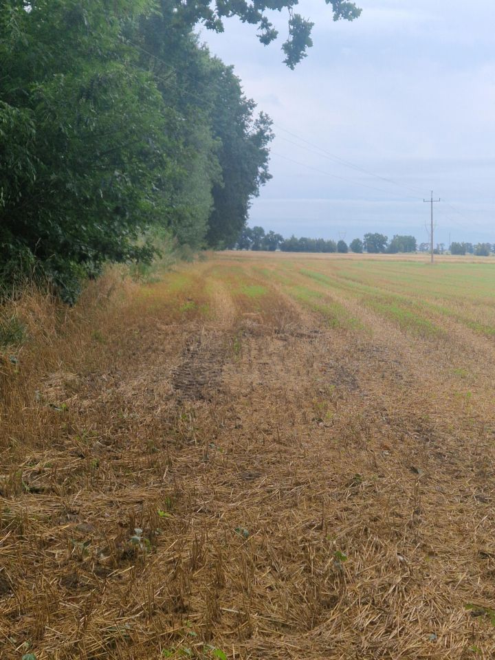 Działka rolna Zagórce. Zdjęcie 1