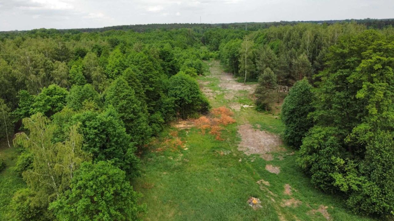 Działka budowlana Tomaszów Mazowiecki, ul. Ludwikowska. Zdjęcie 7