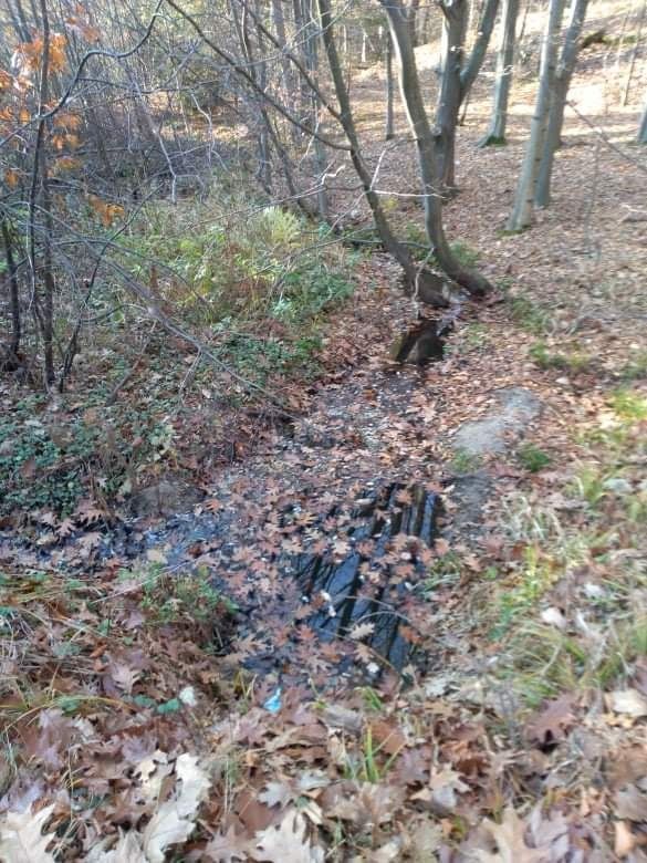 Działka Majdan Sieniawski. Zdjęcie 5