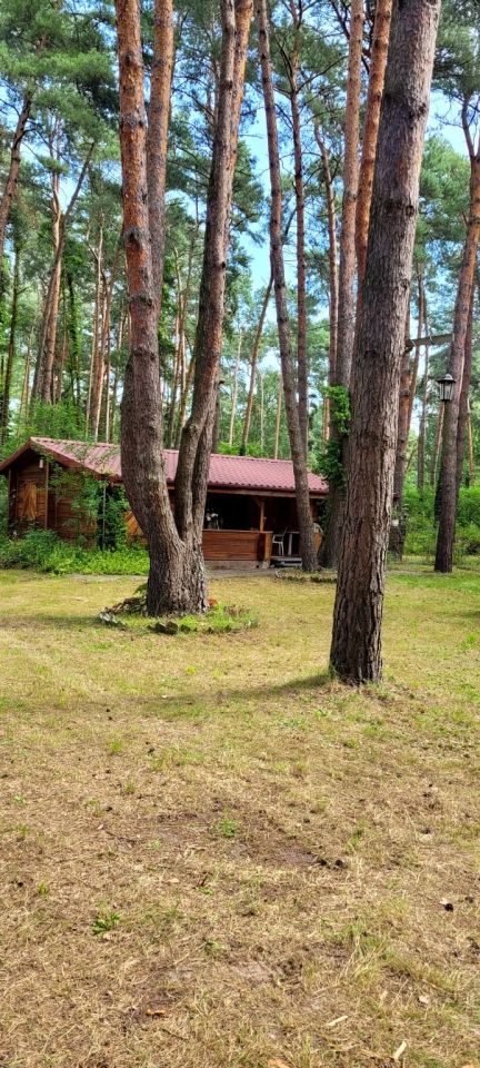 dom letniskowy, 4 pokoje Topolina