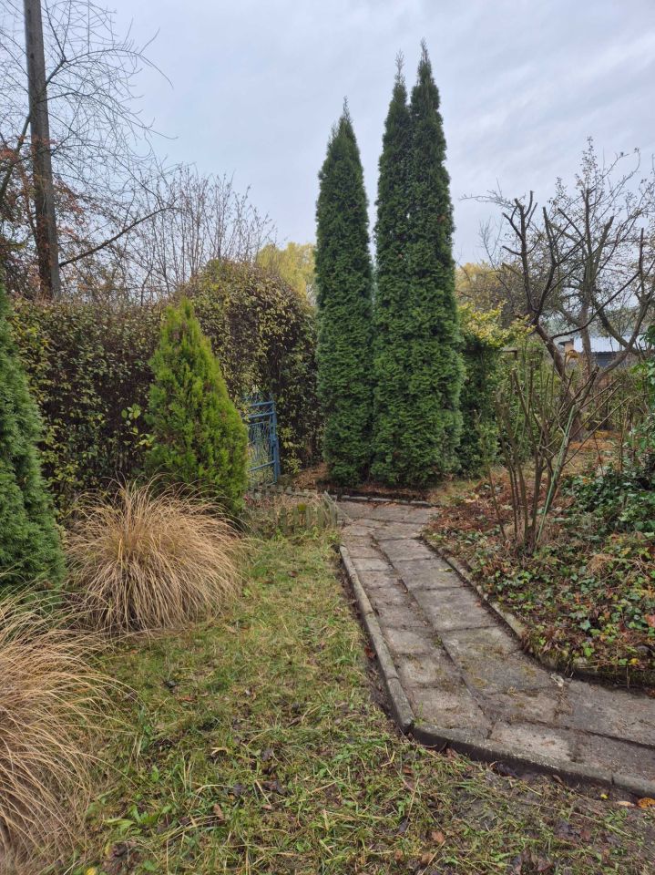 Działka rod Zabrze. Zdjęcie 8