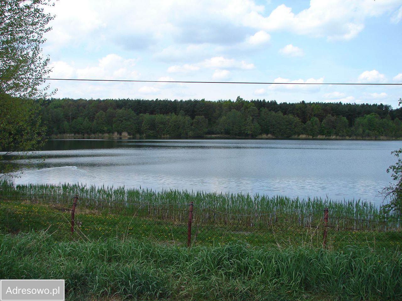 Działka budowlana Błędowo. Zdjęcie 6