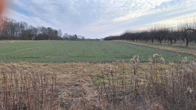 Działka rolno-budowlana Tursko Wielkie. Zdjęcie 1