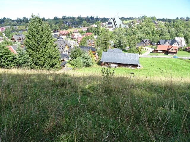 Działka budowlana Zakopane Mrowce, ul. Mrowce. Zdjęcie 3