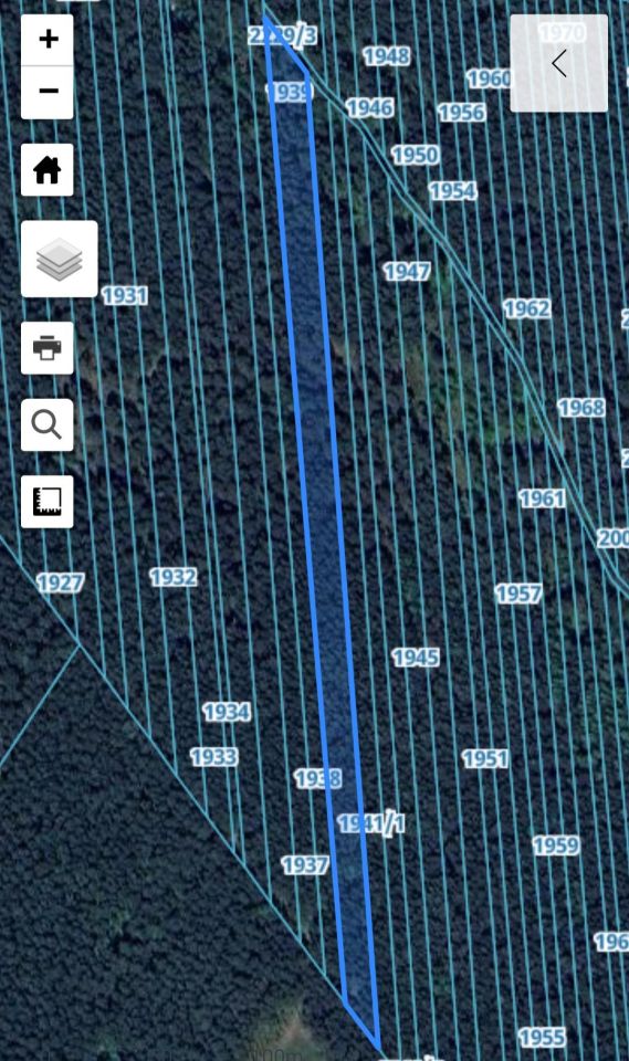 Działka leśna Suków Podmarzysz. Zdjęcie 7