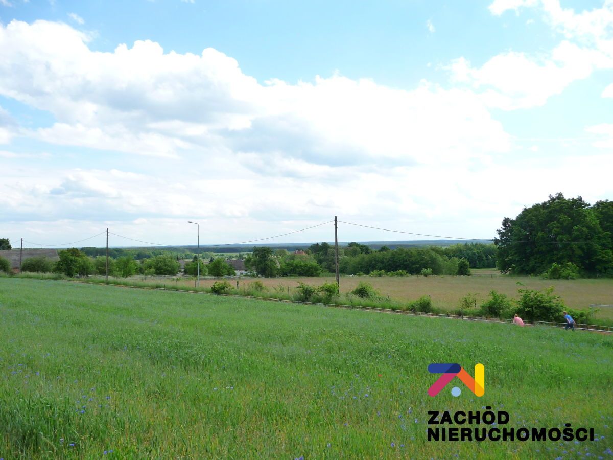 Działka rolna Drągowina. Zdjęcie 3