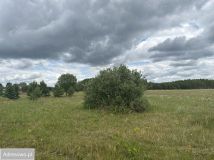 Działka rekreacyjna Dołgie. Zdjęcie 2