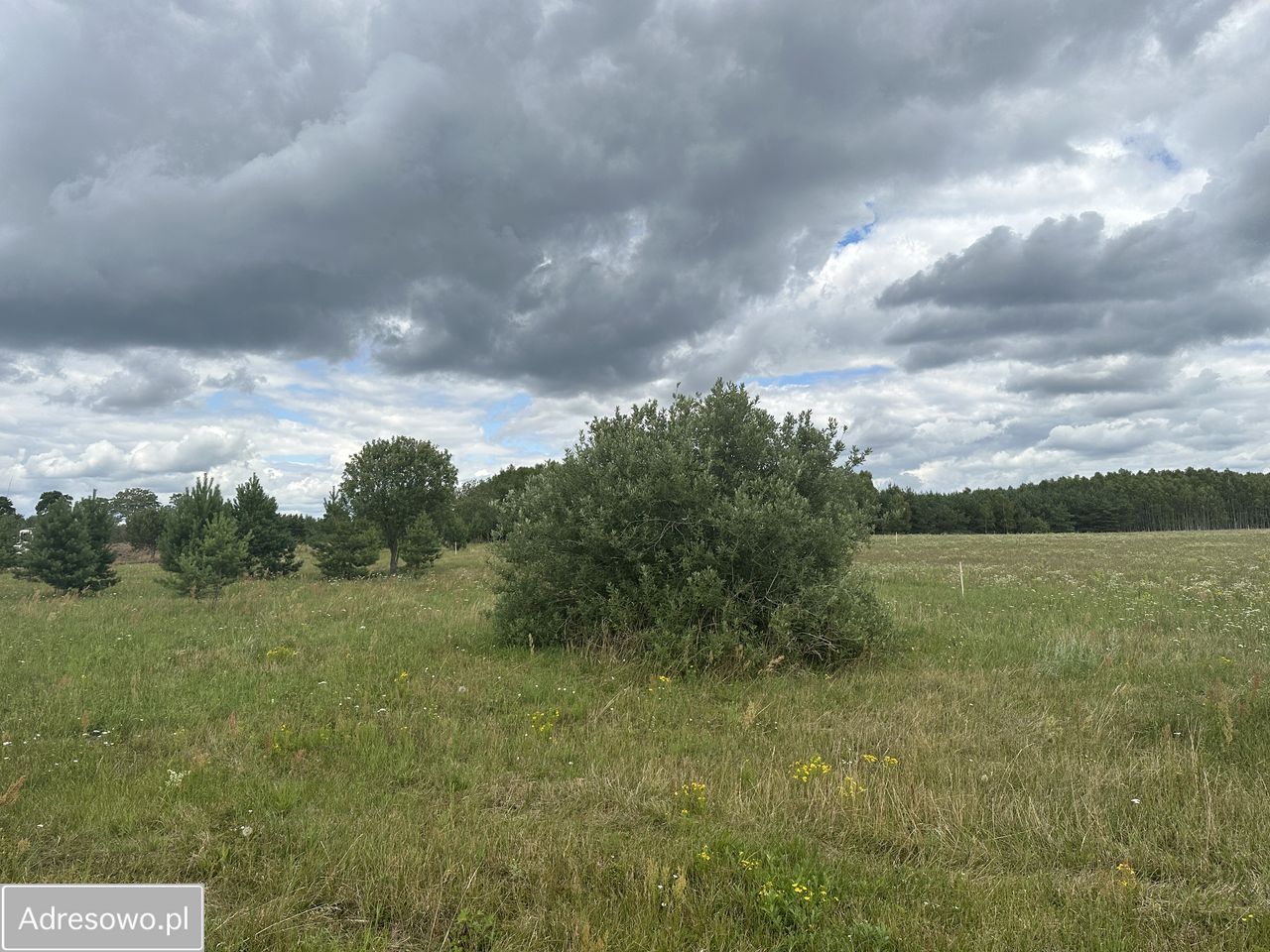 Działka rekreacyjna Dołgie. Zdjęcie 3